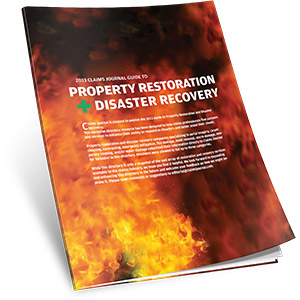 2013 Disaster Recovery Guide
