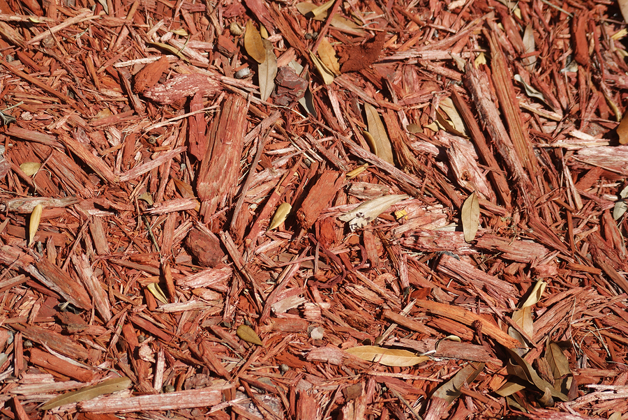 New Massachusetts Fire Safety Rule Taking Effect