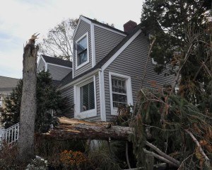 Fairfield Beach, Conn., Nov. 5, 2012 -- This home did not sustain major damage considering the number of trees which were toppled by Hurricane Sandy. Trees are severely hampering the efforts to return power to homes and FEMA is working with the utilities helping to fund the cleanup process. Photo by Marilee Caliendo/FEMA 