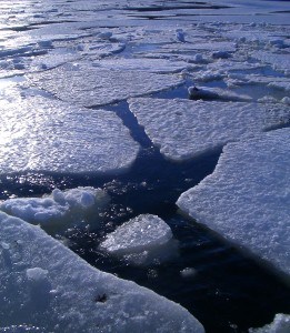 Artic Sea ice melting