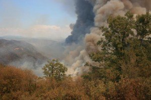 Rim Fire. Photo: inciweb