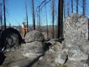 Mark Cochrane, senior scientist at the Geospatial Sciences Center of Excellence, surveys damage from the Antelope Complex Fire in Plumas National Forest in northern California. Sparked by lightning, the 2007 fires were fueled by an abundance of dead trees and brush on the forest floor.