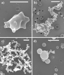 Field emission scanning electron microscope images of different categories of soot particles identified by Michigan Technological University scientists Claudio Mazzoleni and Swarup China. Each has different optical properties, and only 4 percent are uncoated, bare soot. 