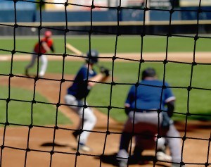Baseball Backstop Net