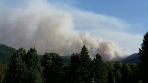 Photo showing smoke column from a fire in the Chewuikum Creek area. Firefighters from Mills Canyon Fire provided initial attack response. Photo: inciweb