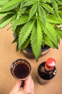 Cannabis and alcohol.