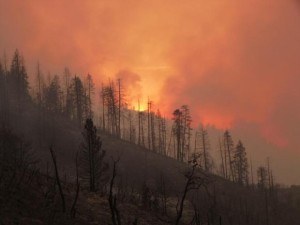 Rough Fire. Photo: InciWeb.org