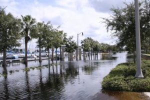 The low level Florida terrain in many areas makes even a relatively small sea-level rise problematic. Photo: Florida Atlantic University