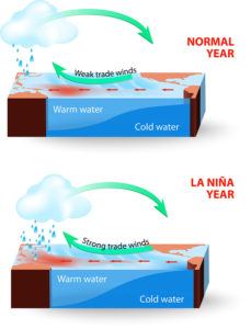 During La Nia years, the pool of warm oceanic waters shifts westward. Rainfall increases over Indonesia and the western Pacific region and decreases over the east-central and eastern Pacific Ocean. The climate is drier and colder off the coast of America.