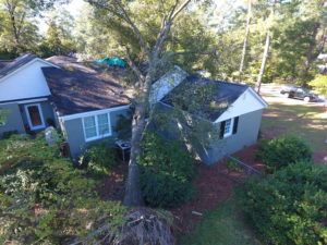 Photo of tree damage captured by drone. Photo: Travelers