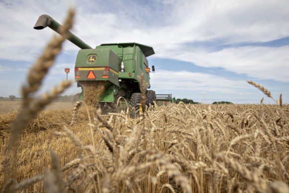 Floods, Drought Are Destroying Crops and Sparking Food Inflation - Claims Journal