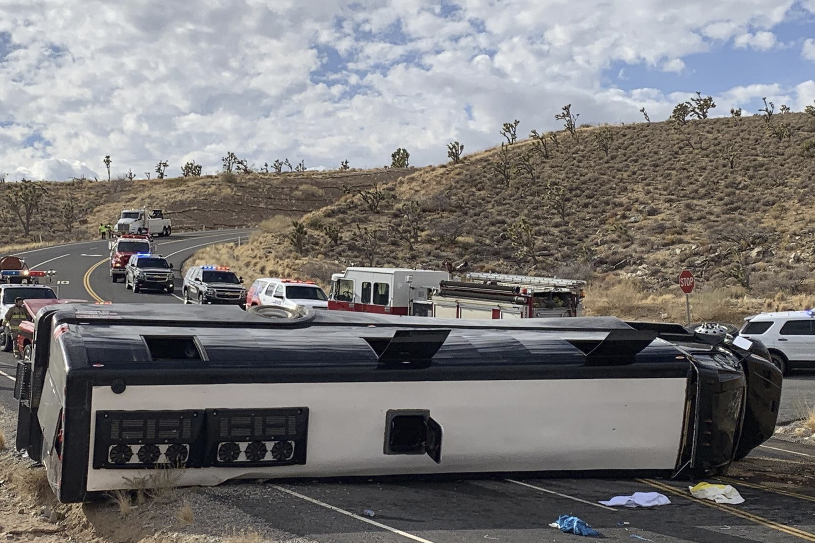 tour bus accident in arizona