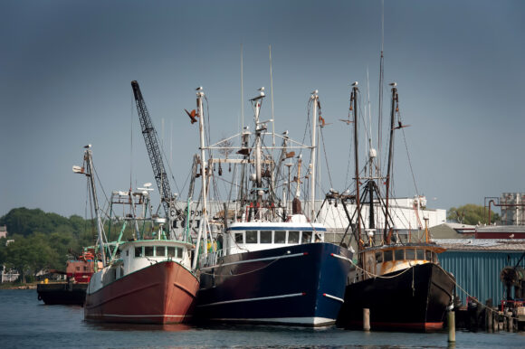 Mayor of fishing community, top officials off the hook in retaliation claims